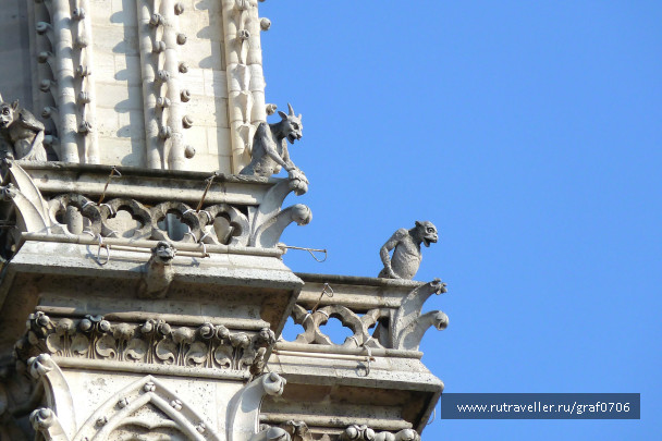 photo 495769