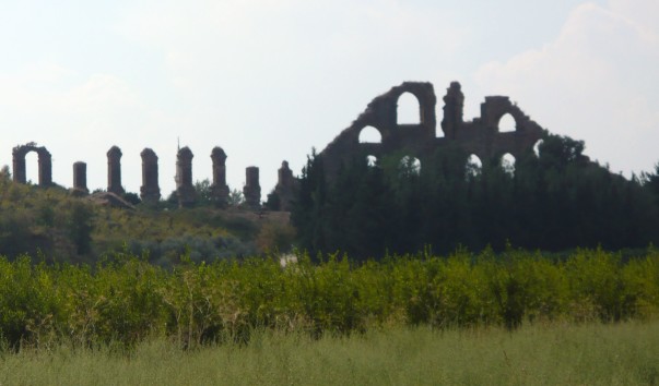 P1040651