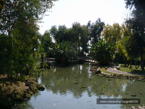 photo 646683