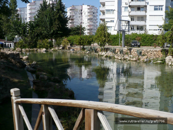 photo 646684