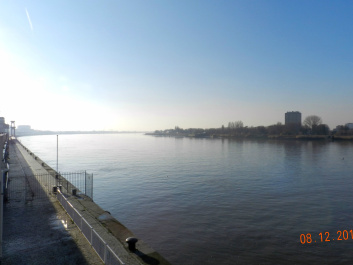 photo 450336