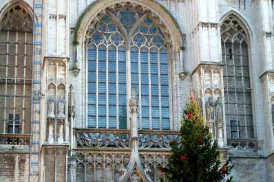 photo 686388