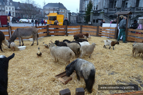 photo 449016