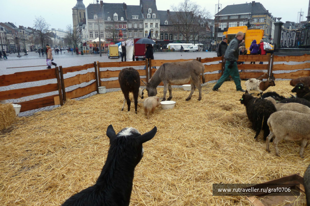 photo 449017