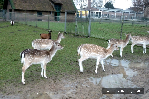 photo 449026