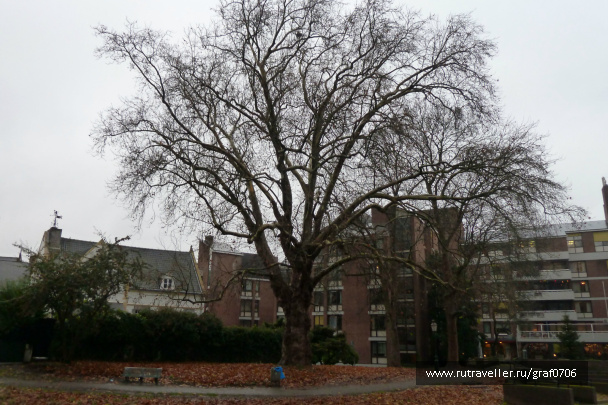 photo 449027