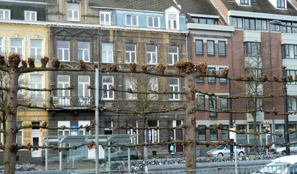 P1060232
