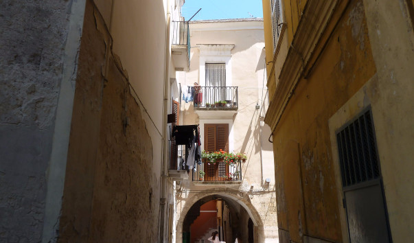 P1180226