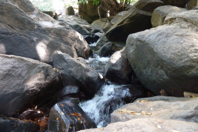 photo 1221034