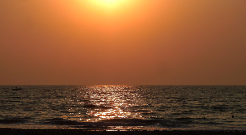 photo 1222508