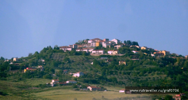 photo 1316423
