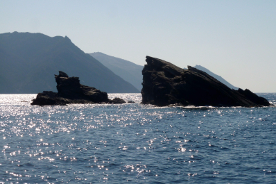 photo 1373361