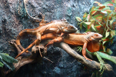 photo 1447191