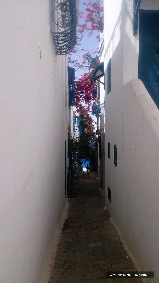 photo 1522081