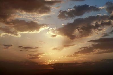 photo 1522584