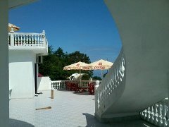 photo 448369