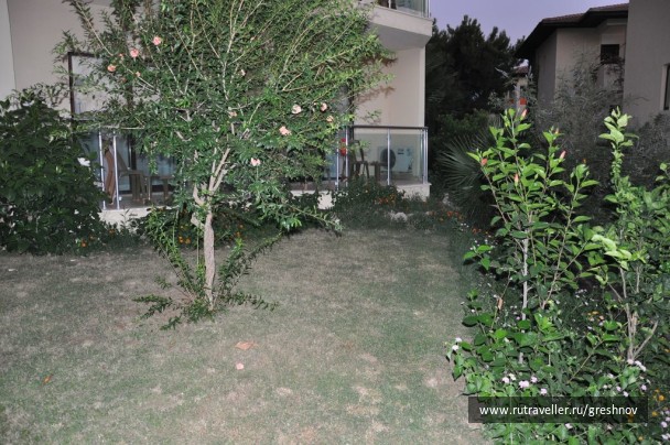 photo 117310
