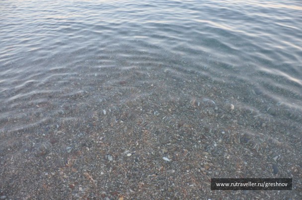 photo 117312