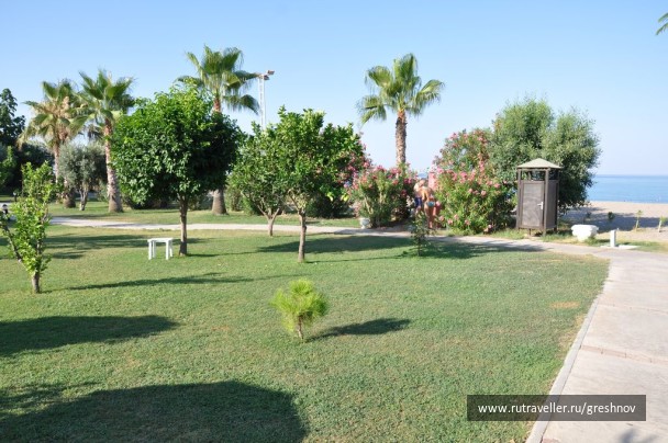 photo 117322