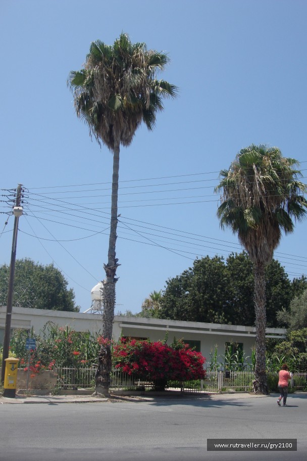 photo 938951
