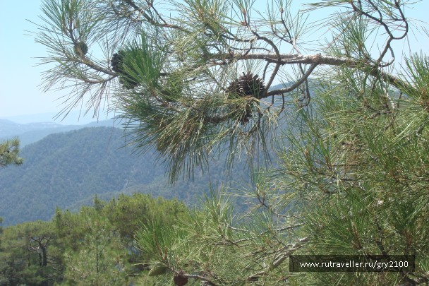 photo 940873