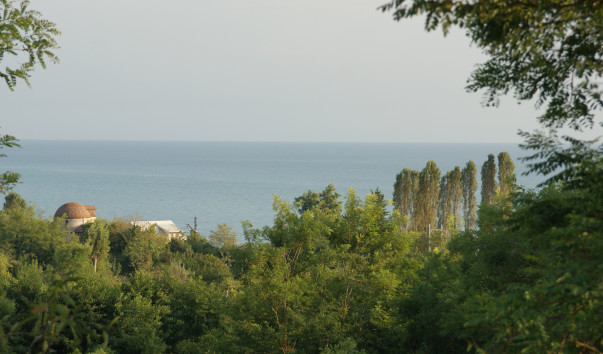 DSC04374