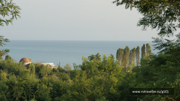 photo 1357402