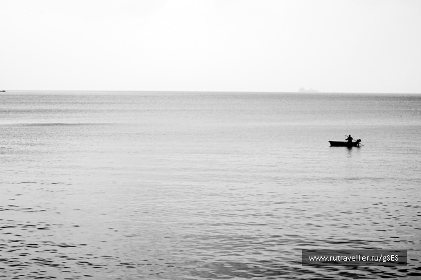 photo 1142242