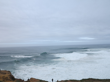 photo 1858244