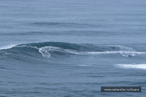 photo 1858253