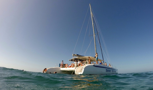 GOPR14201
