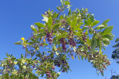 photo 1205738
