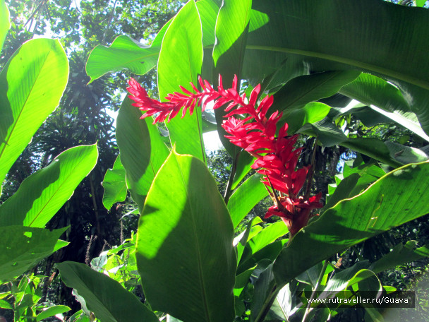 photo 1262726