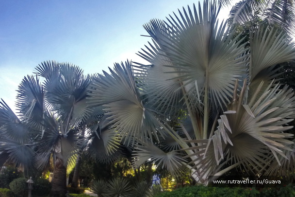 photo 1437982