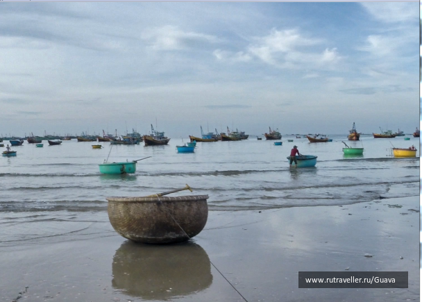 photo 1438728