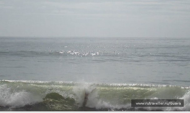 photo 1440684