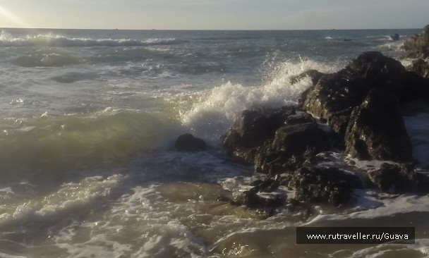 photo 1440690