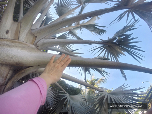 photo 1440989