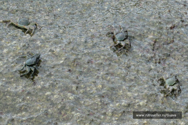 photo 1440993