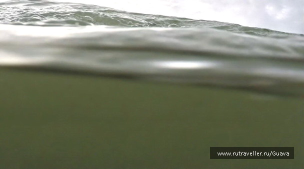 photo 1440997