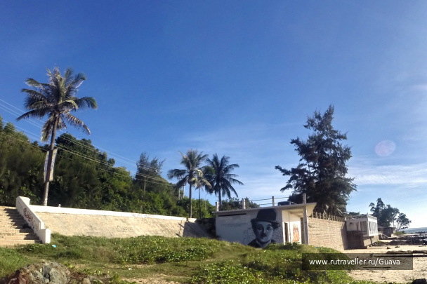 photo 1441224