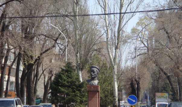 DSC07169