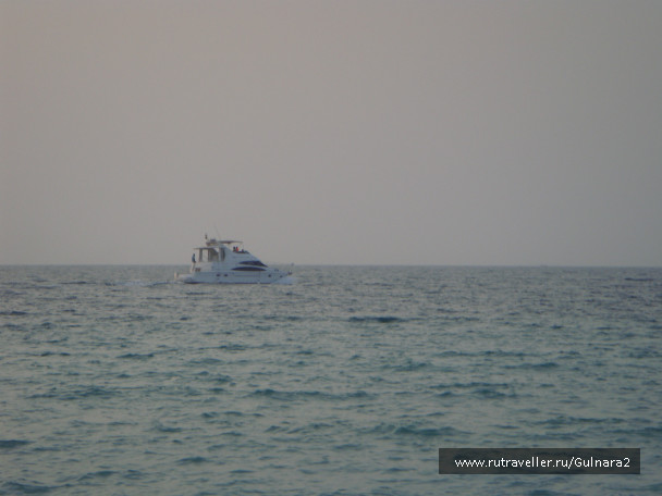 photo 441524