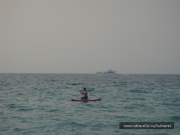 photo 441526