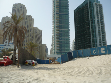 photo 462599