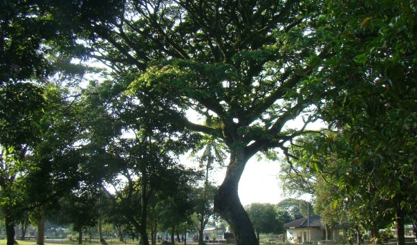 DSC01008