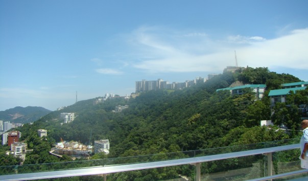 DSC00590