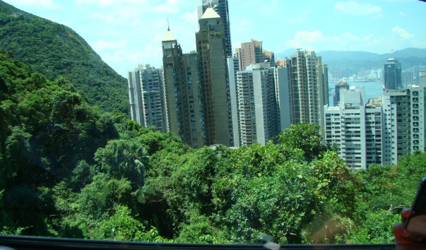 DSC00578
