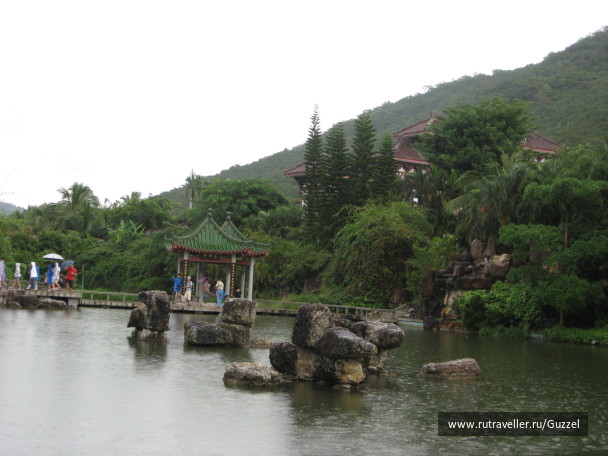 photo 258771