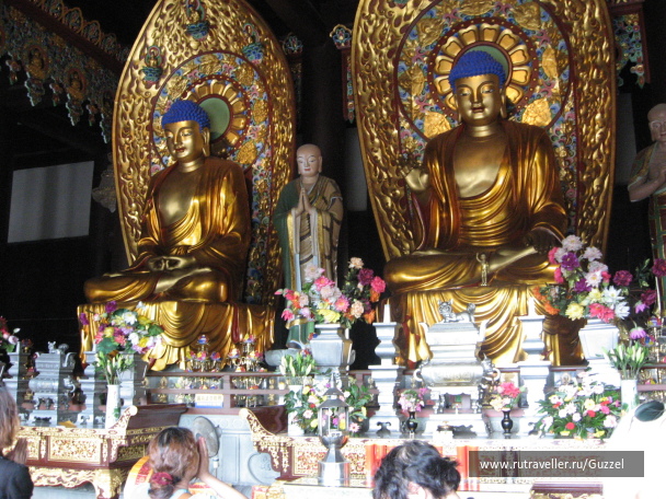 photo 258784
